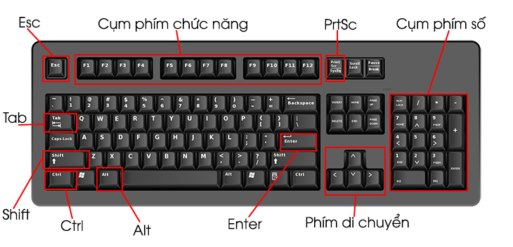 Sao Chép, Cắt và Dán